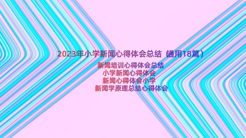 2023年小学新闻心得体会总结（通用18篇）