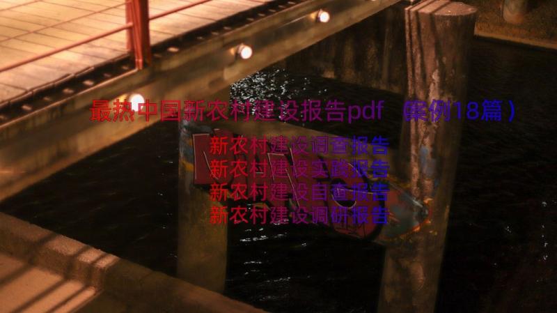 最热中国新农村建设报告pdf（案例18篇）