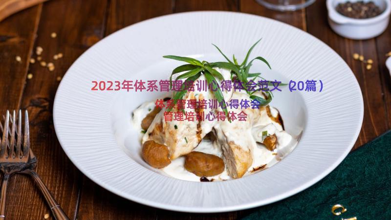 2023年体系管理培训心得体会范文（20篇）