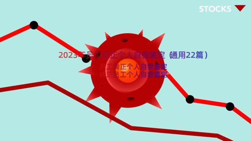 2023年员工转正个人自我鉴定（通用22篇）