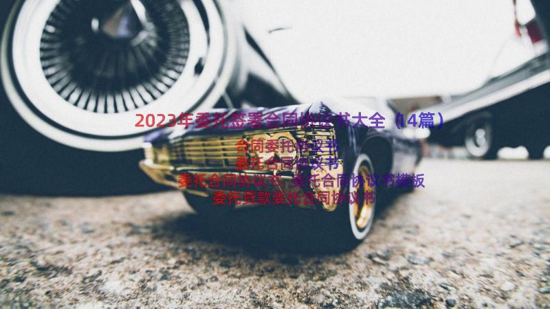 2023年委托签署合同协议书大全（14篇）