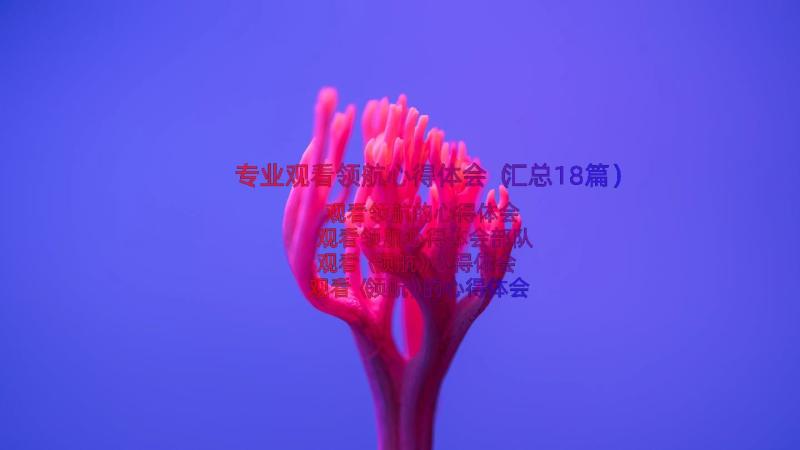 专业观看领航心得体会（汇总18篇）