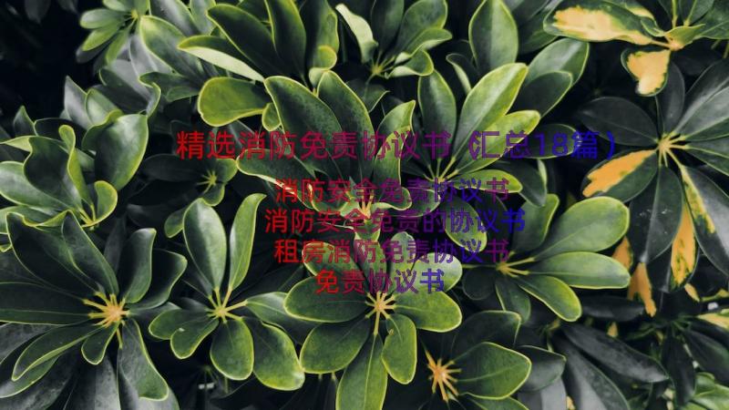 精选消防免责协议书（汇总18篇）