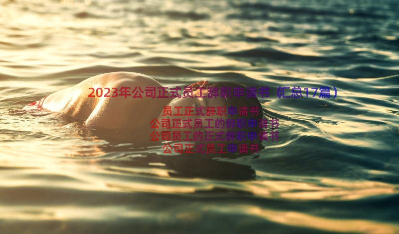 2023年公司正式员工辞职申请书（汇总17篇）