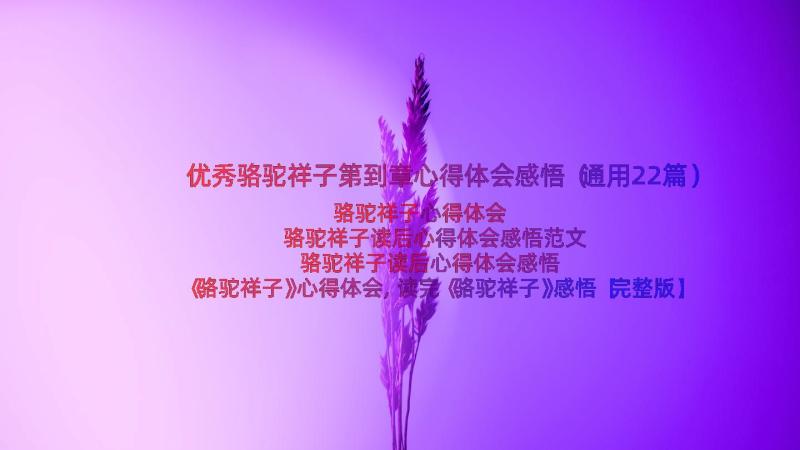 优秀骆驼祥子第到章心得体会感悟（通用22篇）