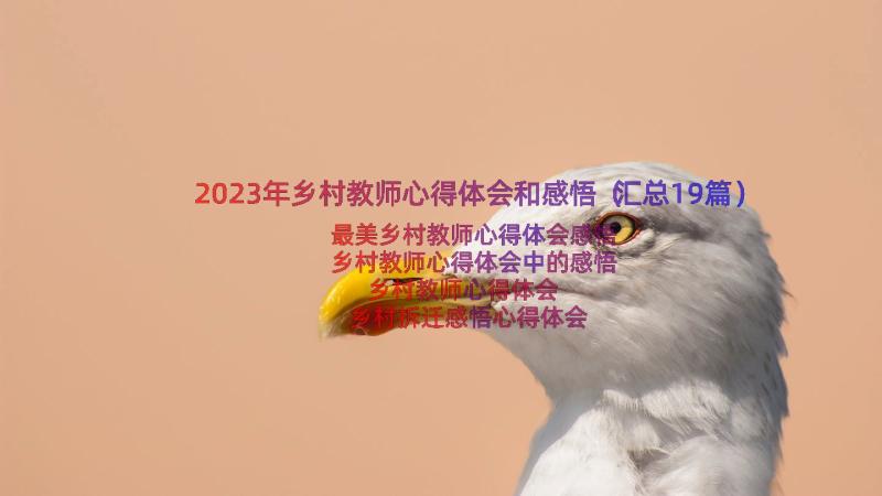 2023年乡村教师心得体会和感悟（汇总19篇）