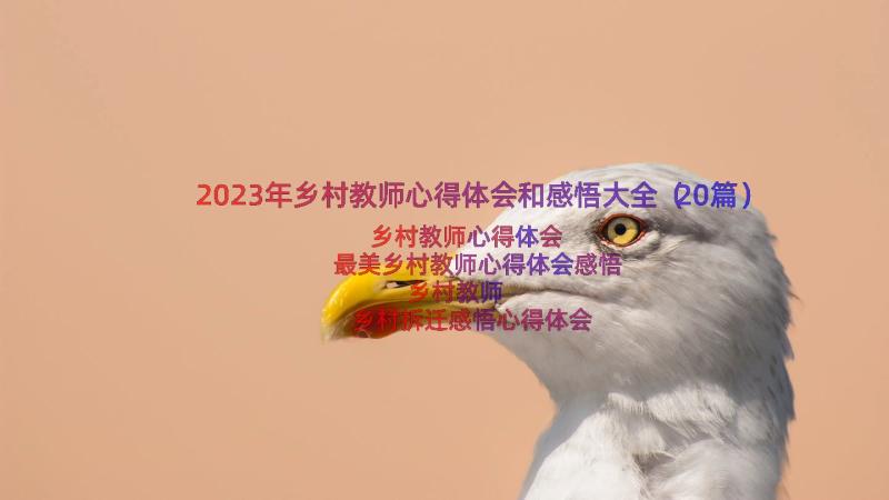 2023年乡村教师心得体会和感悟大全（20篇）