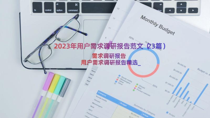 2023年用户需求调研报告范文（23篇）