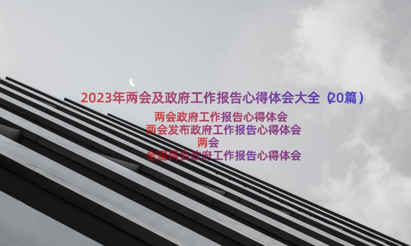 2023年两会及政府工作报告心得体会大全（20篇）