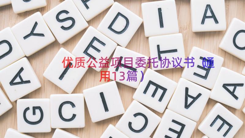 优质公益项目委托协议书（通用13篇）