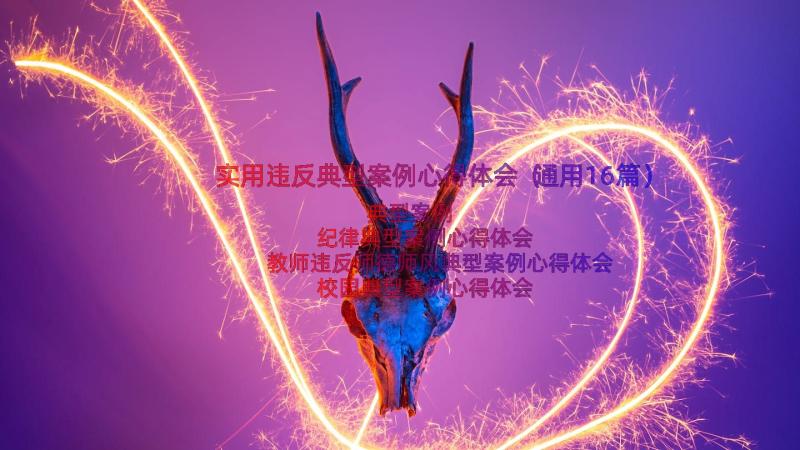 实用违反典型案例心得体会（通用16篇）