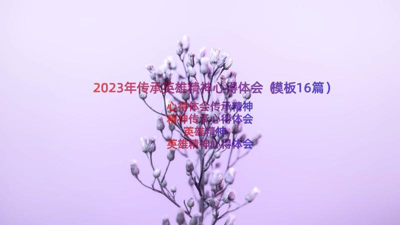 2023年传承英雄精神心得体会（模板16篇）