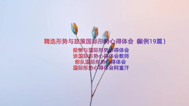 精选形势与政策国际形势心得体会（案例19篇）