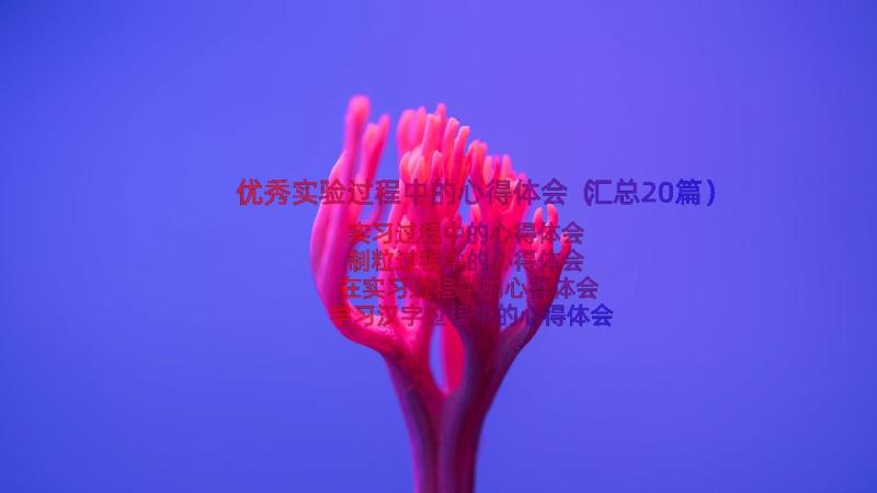 优秀实验过程中的心得体会（汇总20篇）