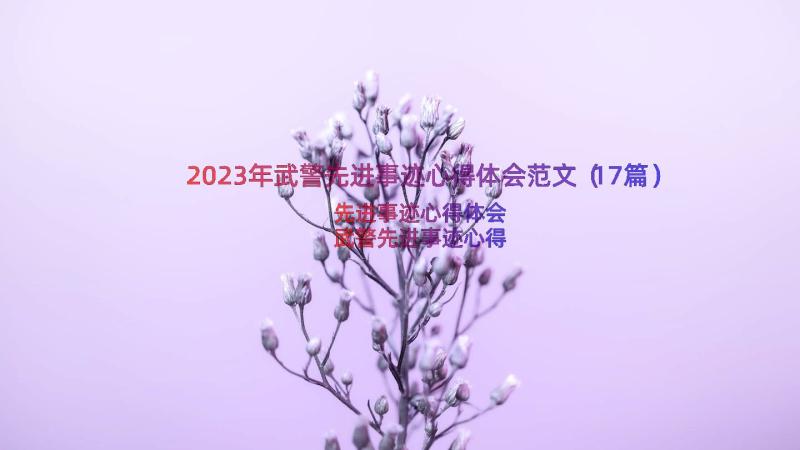 2023年武警先进事迹心得体会范文（17篇）