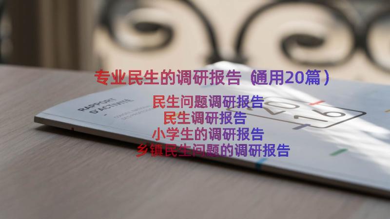 专业民生的调研报告（通用20篇）