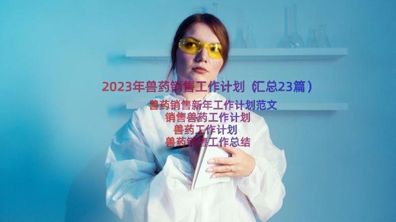 2023年兽药销售工作计划（汇总23篇）