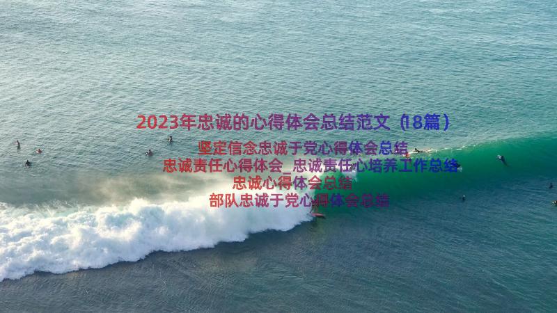 2023年忠诚的心得体会总结范文（18篇）