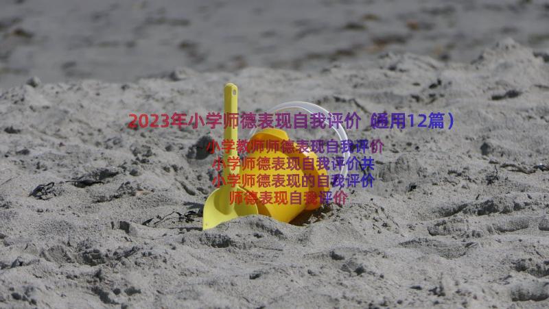 2023年小学师德表现自我评价（通用12篇）