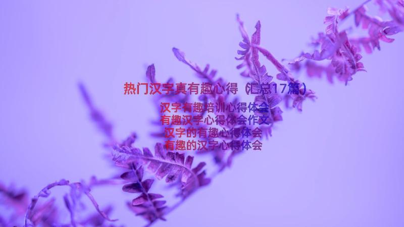 热门汉字真有趣心得（汇总17篇）