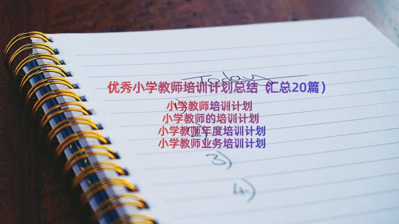 优秀小学教师培训计划总结（汇总20篇）