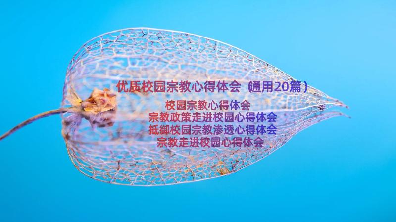 优质校园宗教心得体会（通用20篇）