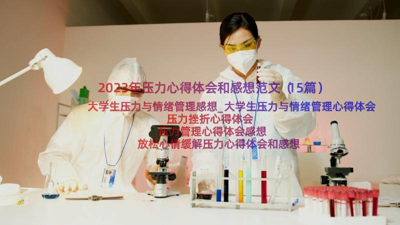 2023年压力心得体会和感想范文（15篇）