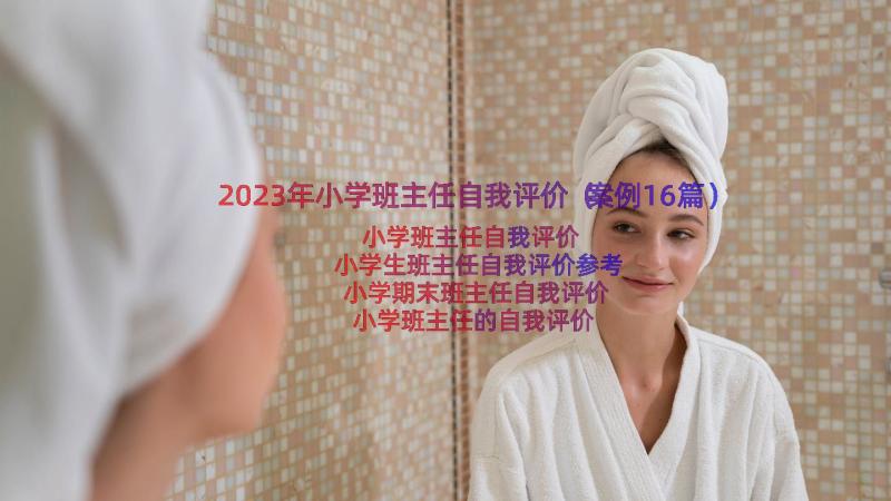 2023年小学班主任自我评价（案例16篇）