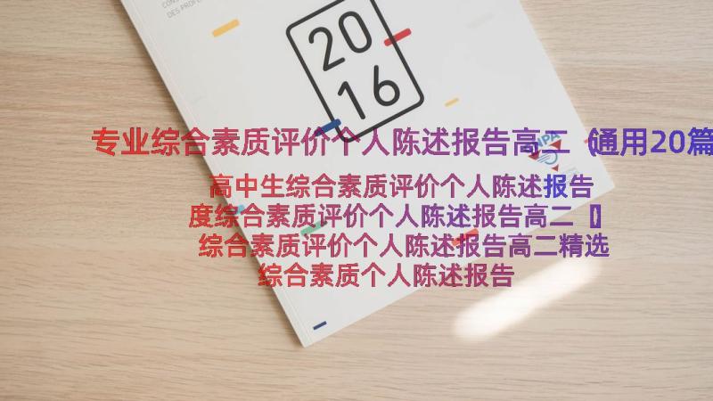 专业综合素质评价个人陈述报告高二（通用20篇）