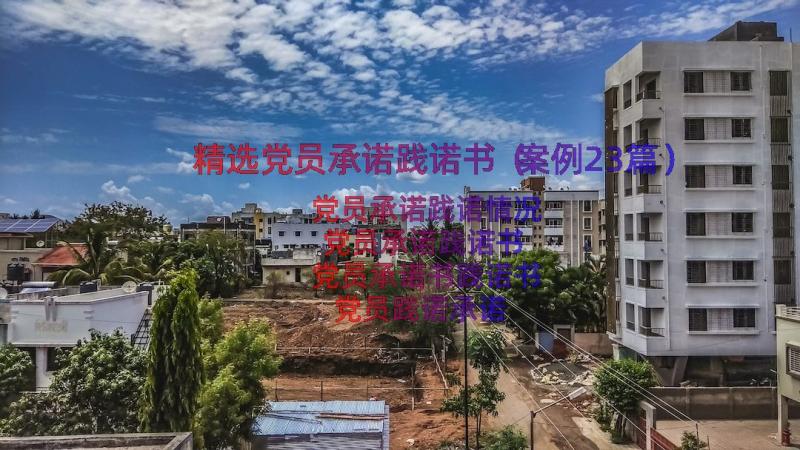 精选党员承诺践诺书（案例23篇）