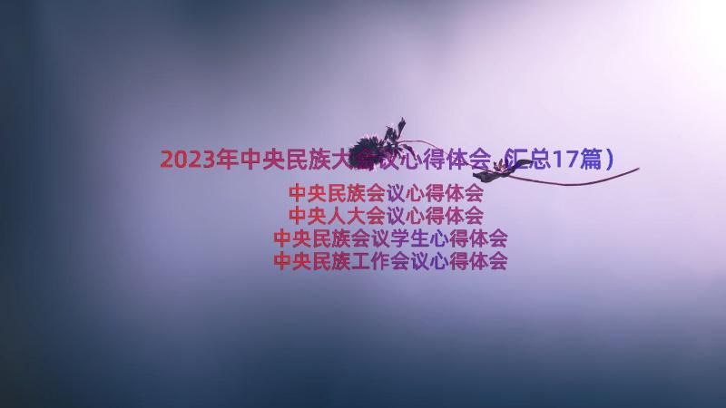 2023年中央民族大会议心得体会（汇总17篇）