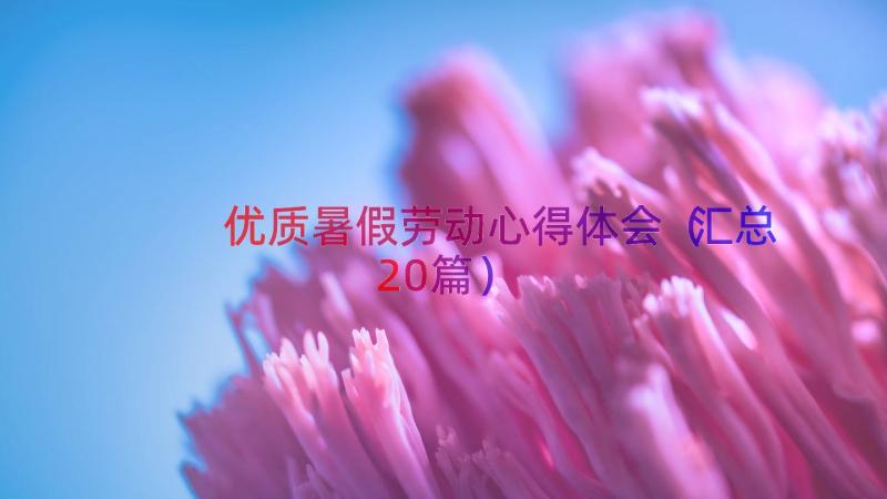 优质暑假劳动心得体会（汇总20篇）