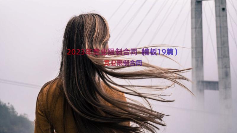 2023年竞业限制合同（模板19篇）