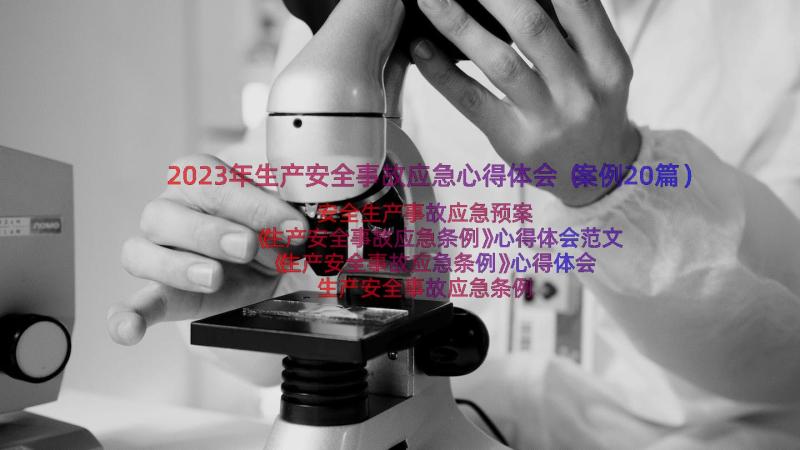 2023年生产安全事故应急心得体会（案例20篇）