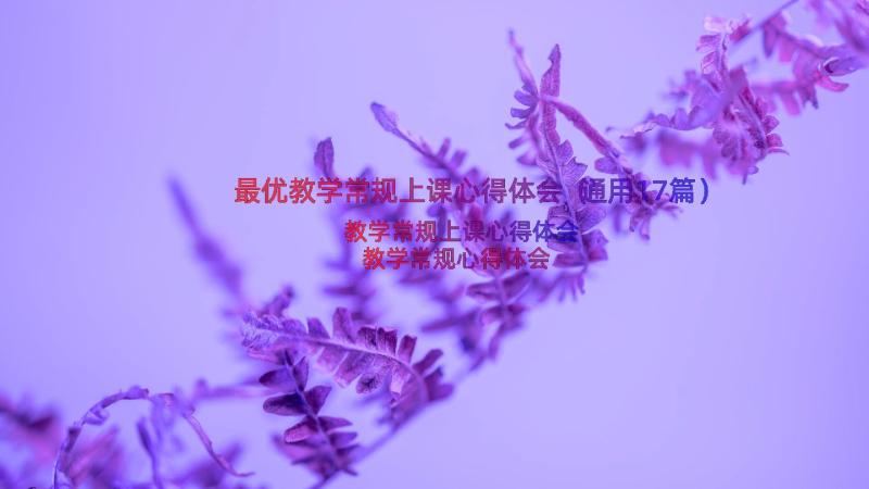 最优教学常规上课心得体会（通用17篇）