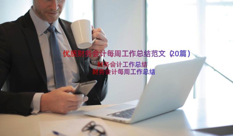 优质财务会计每周工作总结范文（20篇）