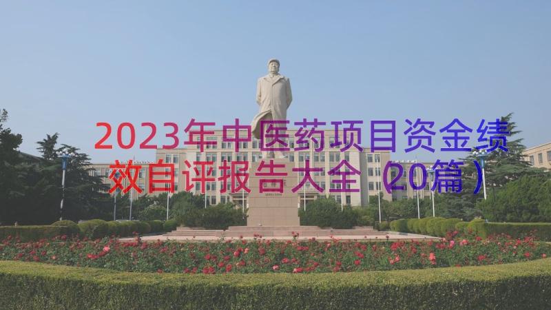 2023年中医药项目资金绩效自评报告大全（20篇）