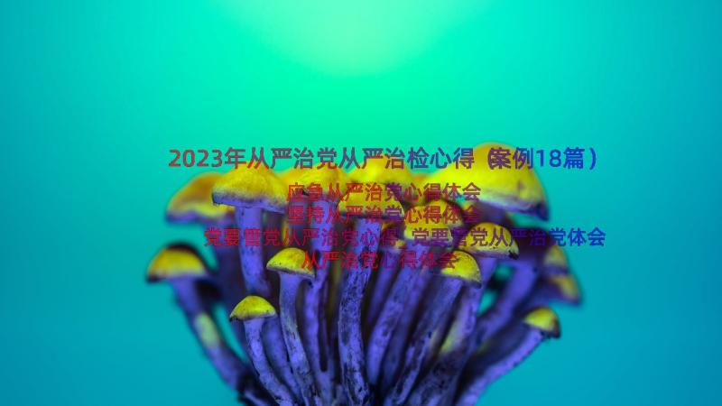 2023年从严治党从严治检心得（案例18篇）