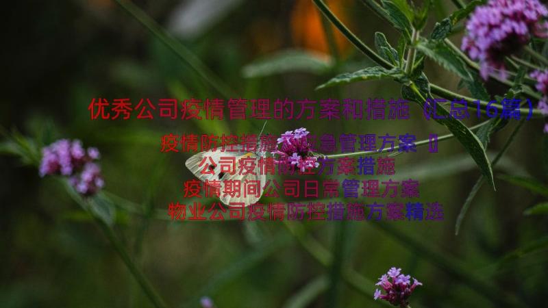 优秀公司疫情管理的方案和措施（汇总16篇）