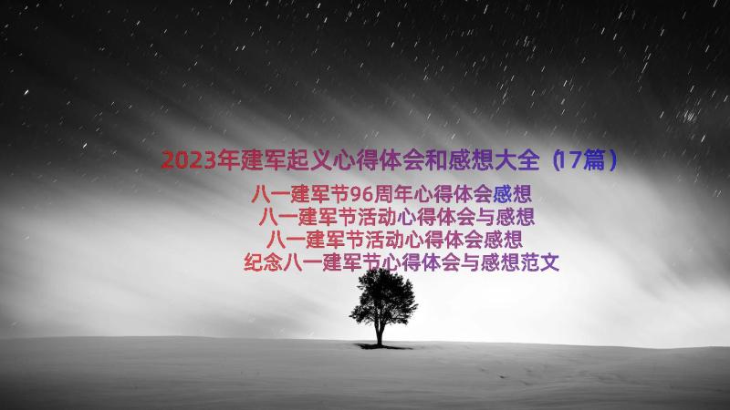 2023年建军起义心得体会和感想大全（17篇）