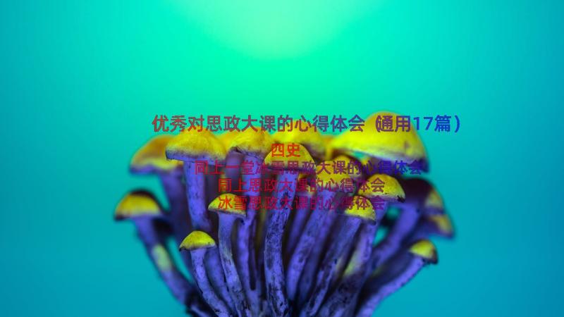 优秀对思政大课的心得体会（通用17篇）