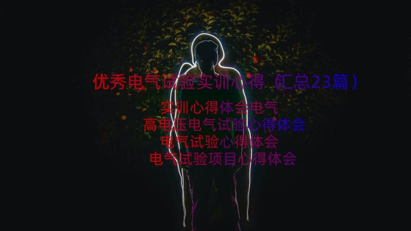 优秀电气试验实训心得（汇总23篇）