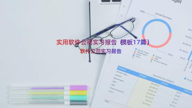 实用软件公司实习报告（模板17篇）