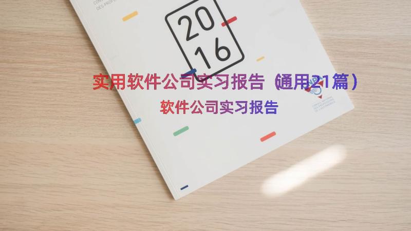 实用软件公司实习报告（通用21篇）