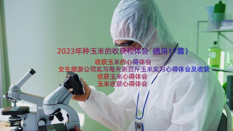 2023年种玉米的收获和体会（通用17篇）