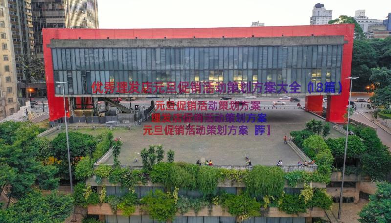 优秀理发店元旦促销活动策划方案大全（18篇）