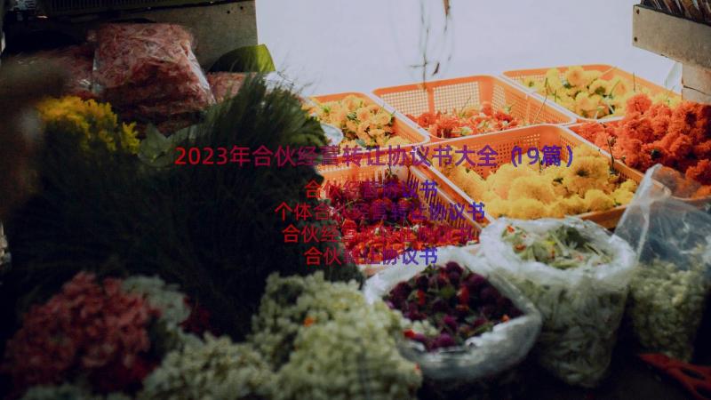 2023年合伙经营转让协议书大全（19篇）