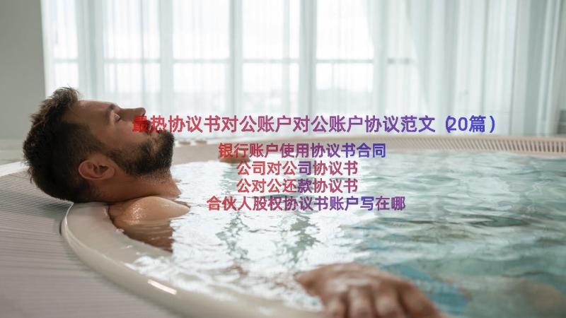 最热协议书对公账户对公账户协议范文（20篇）