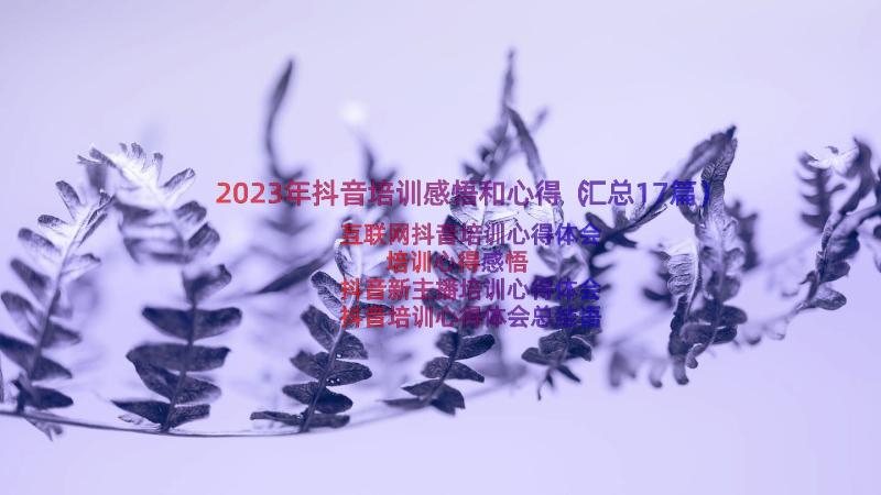 2023年抖音培训感悟和心得（汇总17篇）