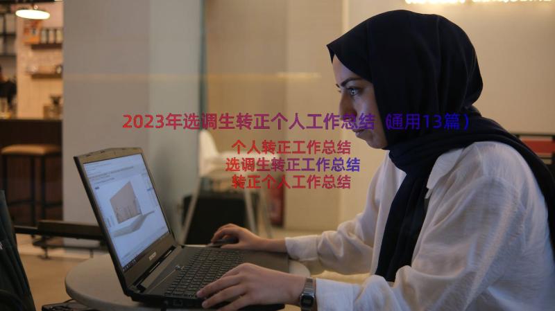 2023年选调生转正个人工作总结（通用13篇）